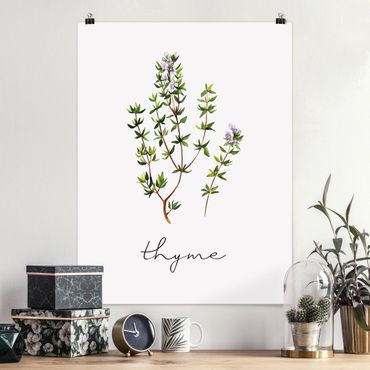 Poster - Illustrazione di erbe aromatiche timo
