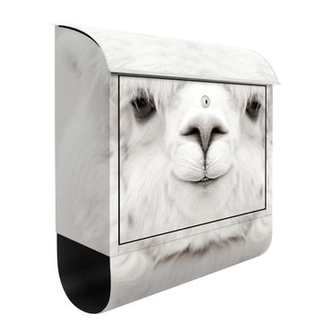 Cassetta postale - Alpaca che sorride