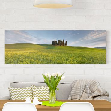 Stampa su tela - Green Field In Tuscany - Panoramico