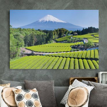 Stampa su tela - Tea Fields In Front Of The Fuji - Orizzontale 3:2