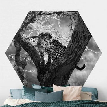 Carta da parati esagonale adesiva con disegni - Leopardo su un albero in bianco e nero