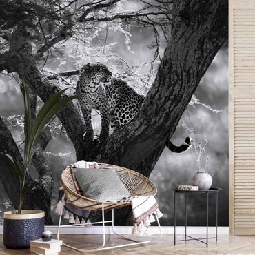 Carta da parati - Leopardo su un albero in bianco e nero