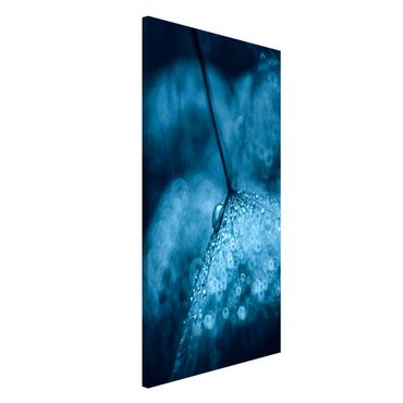 Lavagna magnetica - Tarassaco Blu In The Rain - Formato verticale 4:3