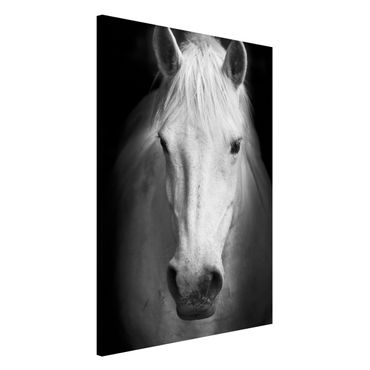 Lavagna magnetica - Dream Of A Horse - Formato verticale