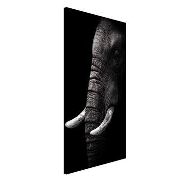 Lavagna magnetica - Scuro Elephant Portrait - Formato verticale 4:3