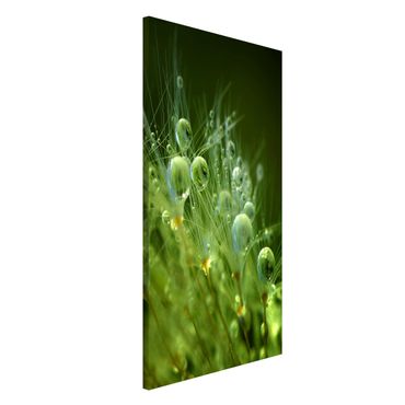 Lavagna magnetica - Semi verdi Sotto La Pioggia - Formato verticale 4:3