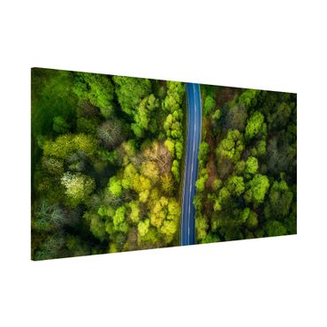 Lavagna magnetica - Veduta aerea - Strada asfaltata In The Forest - Panorama formato orizzontale