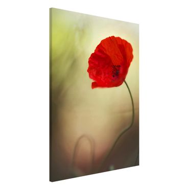 Lavagna magnetica - Poppy Blossom in the Garden - Formato verticale 2:3