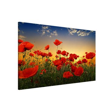 Lavagna magnetica - Poppy Field in Sunset - Formato orizzontale 3:2
