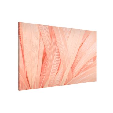 Lavagna magnetica - Palm Leaves Pink - Formato orizzontale 3:2