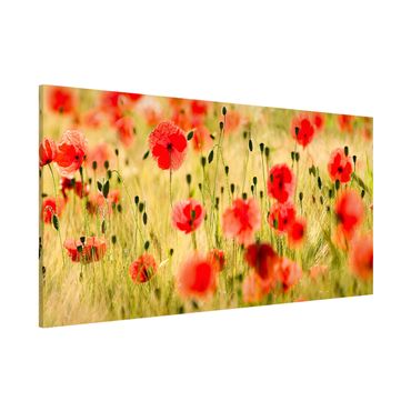 Lavagna magnetica - Summer Poppies - Panorama formato orizzontale
