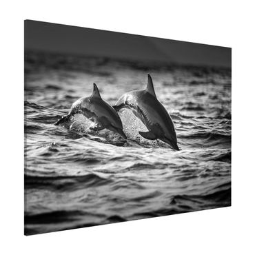 Lavagna magnetica - Due delfini che saltano - Formato orizzontale 3:4