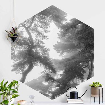 Fotomurale esagonale autoadesivo - Foresta maestosa in bianco e nero