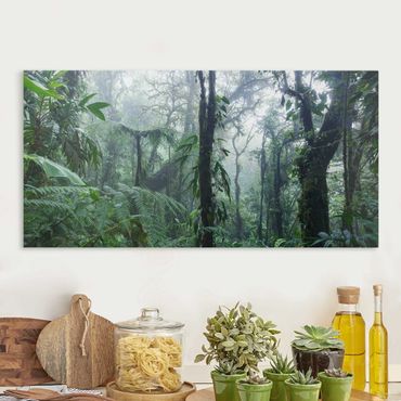Stampa su tela - Foresta nuvolosa di Monteverde