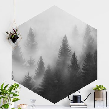Carta da parati esagonale adesiva con disegni - Bosco di conifere nella nebbia in bianco e nero