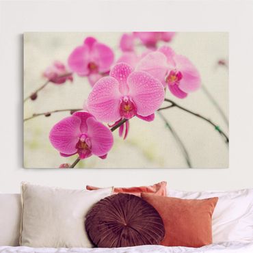 Quadro su tela naturale - Primo piano orchidea - Formato orizzontale 3:2