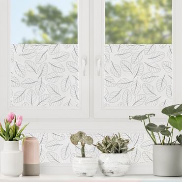 Pellicole per vetri - Motivo a foglie naturali