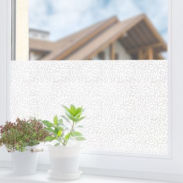 Pellicole per vetri - Motivo naturale floreali