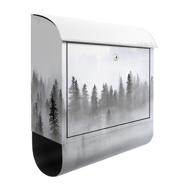 Cassetta postale - Nebbia nel bosco di abeti in bianco e nero