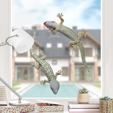 Adesivi da finestra no.250 Nosey Geckos