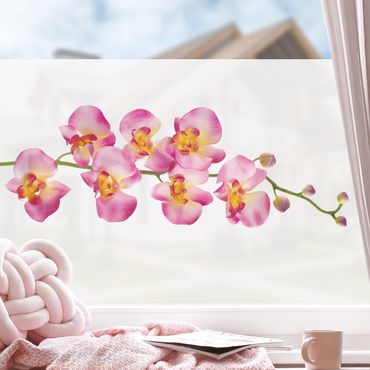 Decorazione per finestre - No.177 Orchidea rosa II