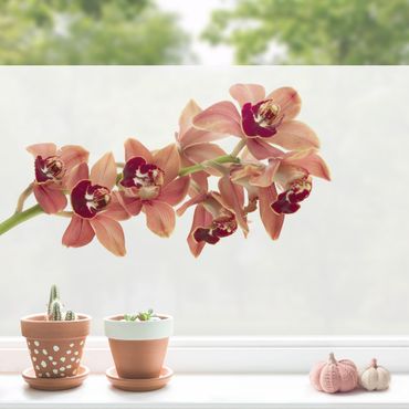 Decorazione per finestre - No.180 Orchidee rossa II