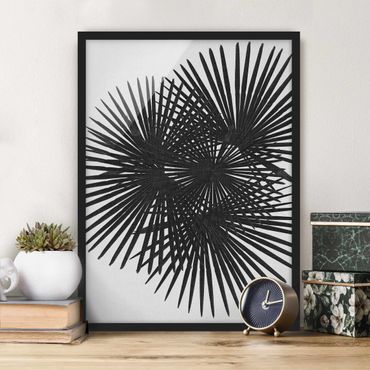 Poster con cornice - Foglie di palma in bianco e nero