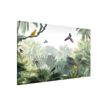 Lavagna magnetica - Parata di pappagalli nella giungla delicata
