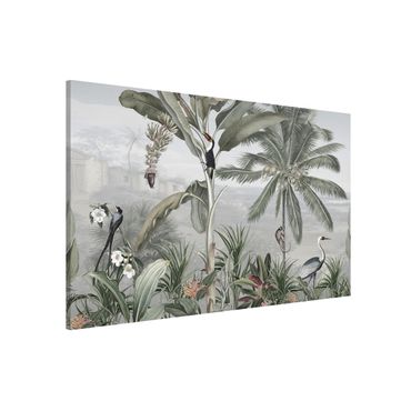 Lavagna magnetica - Uccelli del paradiso nel panorama della giungla