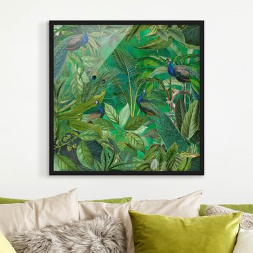 Poster con cornice - Pavoni nella giungla
