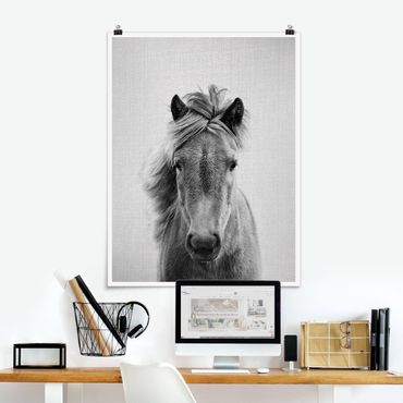 Poster riproduzione - Cavallo Pauline in bianco e nero