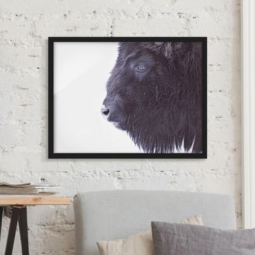 Poster con cornice - Ritratto di bufalo nero