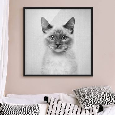 Poster con cornice - Gatto siamese Sibylle in bianco e nero