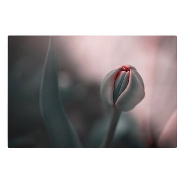 Stampa su tela - Tulipano sensuale - Orizzontale 3:2