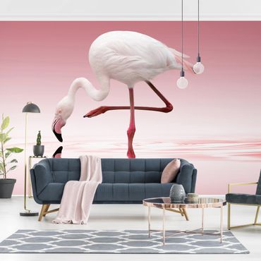 Carta da parati - Flamingo Dance