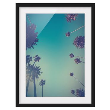 Poster con cornice - Piante tropicali palme e cielo II