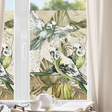 Decorazione per finestre - Uccelli tropicali - Parrocchetti ondulati verdi