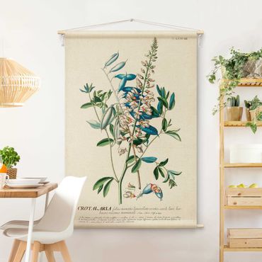 Arazzo da parete - Illustrazione botanica vintage di legumi