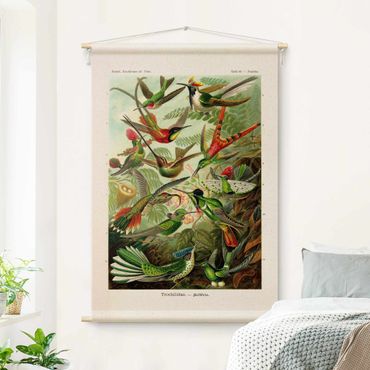 Arazzo da parete - Tavola didattica vintage colibrì