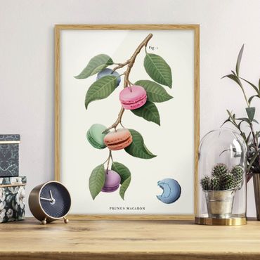 Poster con cornice - Pianta vintage - Macaron
