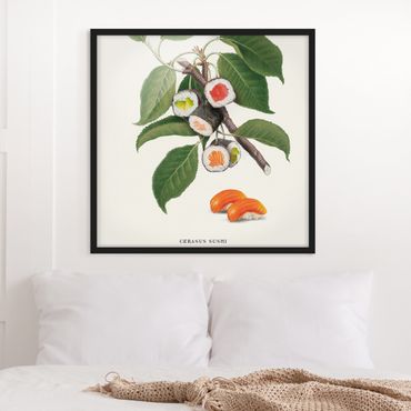 Poster con cornice - Pianta vintage - Sushi