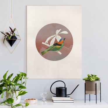 Quadro su tela - Collage di uccellini in cerchio II