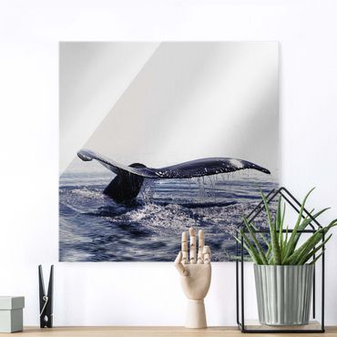 Quadro in vetro - Canto delle balene in Islanda