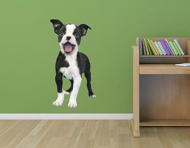 Adesivo murale - eccitato cucciolo