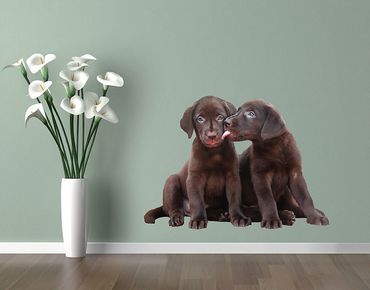 Adesivo murale - Dolce cucciolo di Labrador