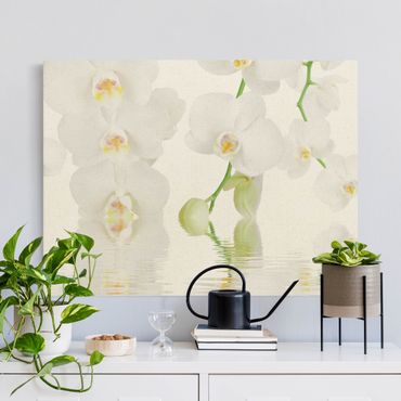 Quadro su tela naturale - Orchidea wellness - Orchidea bianca - Formato orizzontale 4:3