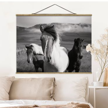 Foto su tessuto da parete con bastone - Cavalli selvaggi in bianco e nero - Orizzontale 4:3