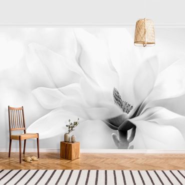 Carta da parati - Delicata fioritura di magnolia in bianco e nero