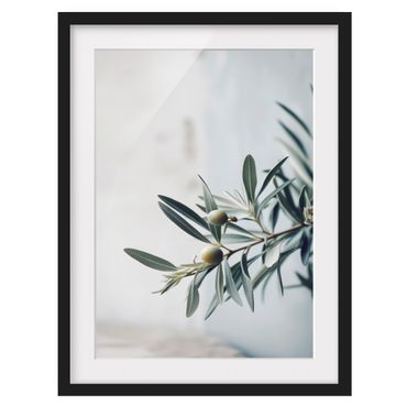 Poster con cornice - Ramo di ulivo fiorito delicato