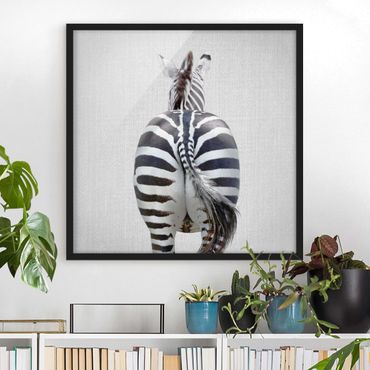 Poster con cornice - Zebra da dietro